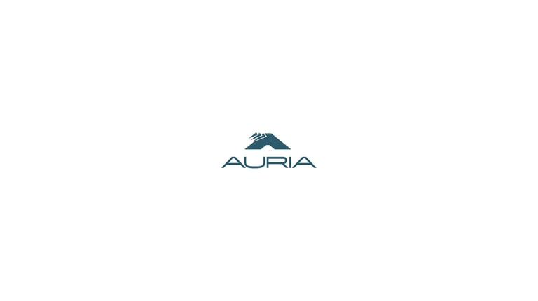 sito web_casi clienti_auria_logo