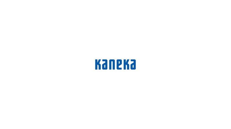 página web_casos de clientes_kaneka_logotipo